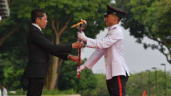 Related article image
