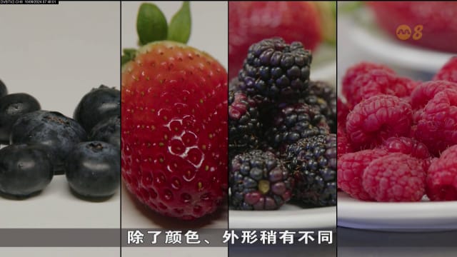 狮城有约 | 生活小学堂：如何分辨聚合果和浆果？