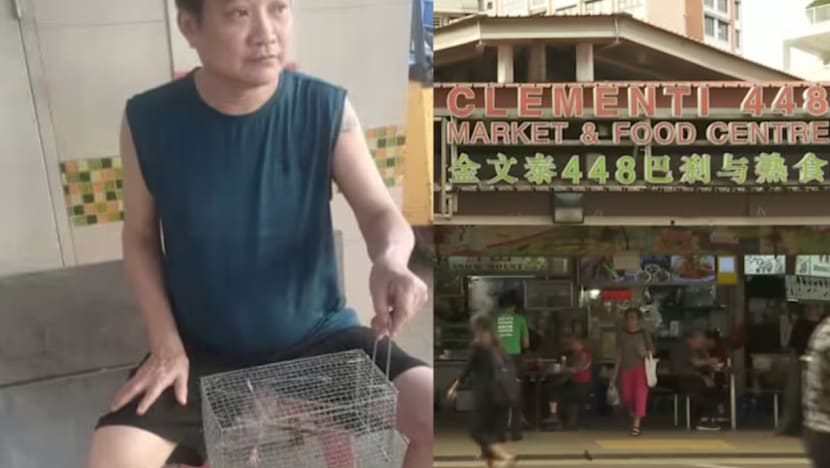 Pegerai pusat penjaja Clementi pasang perangkap, dapatkan bantuan pakar tangani isu tikus
