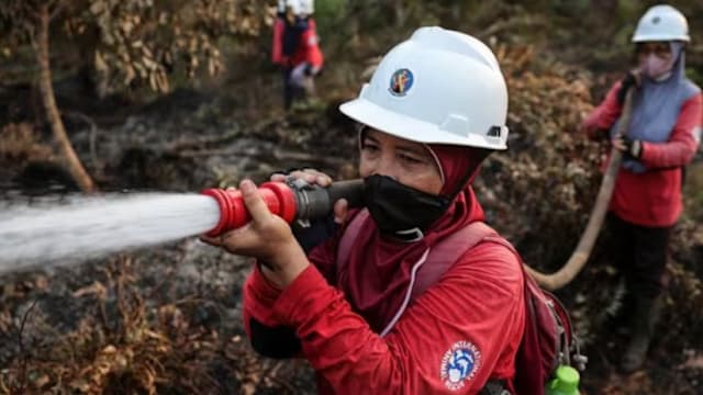 【一文看懂】地震火山喷发林火不断 印尼防灾哪里出了问题？