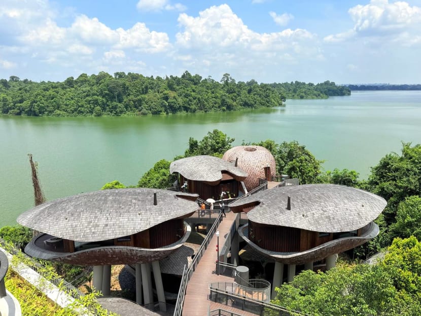 First look: Mandai Rainforest Resort by Banyan Tree has over 300 guest rooms including 24 tree houses First look: Mandai Rainforest Resort by Banyan Tree has over 300 guest rooms including 24 tree houses