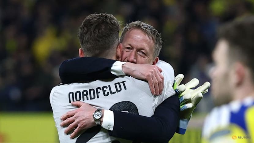 Sweden’s 'great escape' complete as Potter clinches World Cup berth