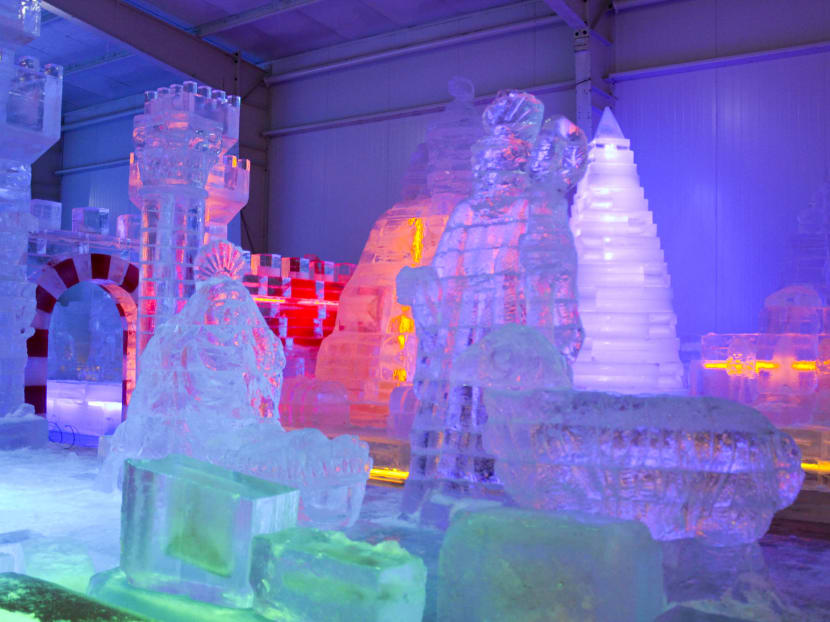 Gallery: 2 Degree Ice Art: A chilly experience