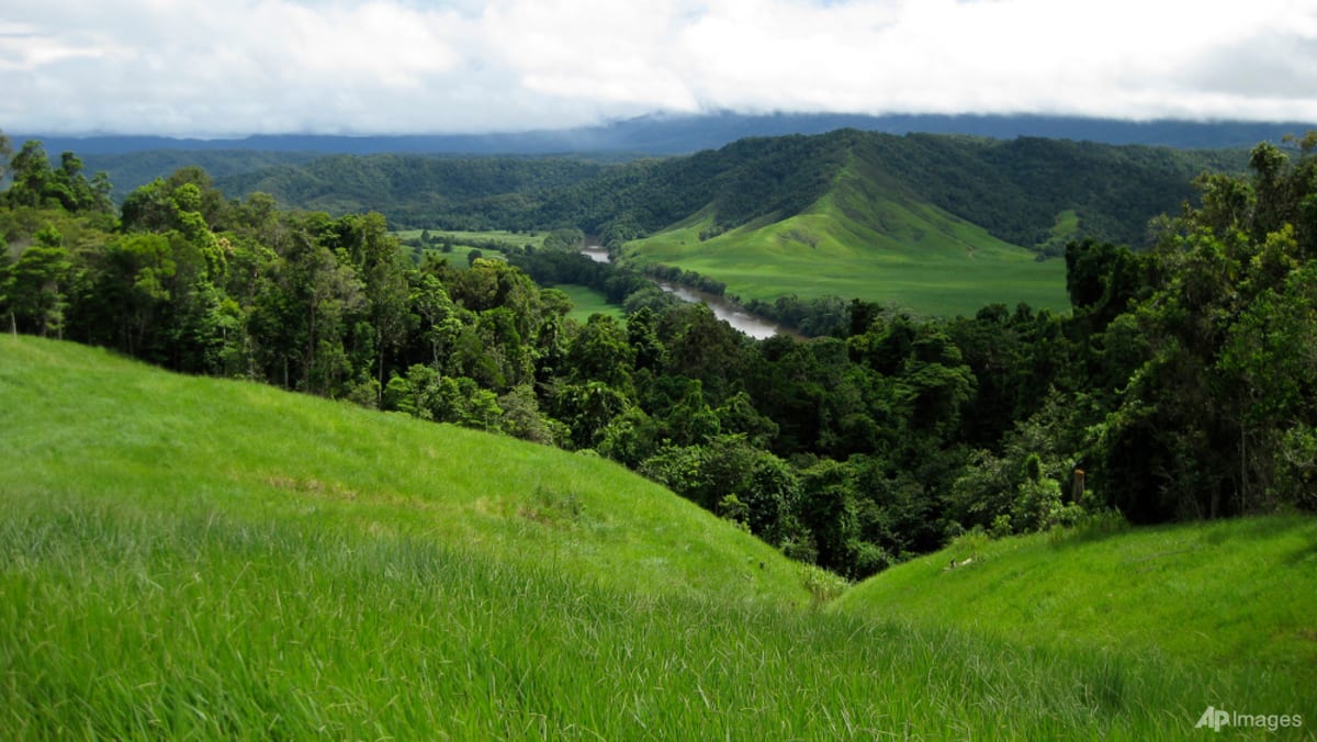 Australian rainforests no longer a carbon sink: Study