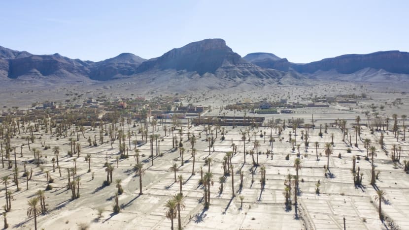 Climate change threatens centuries-old oases in Morocco