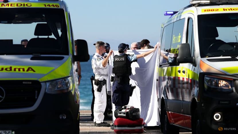 Woman Seriously Injured in Sydney Shark Attack