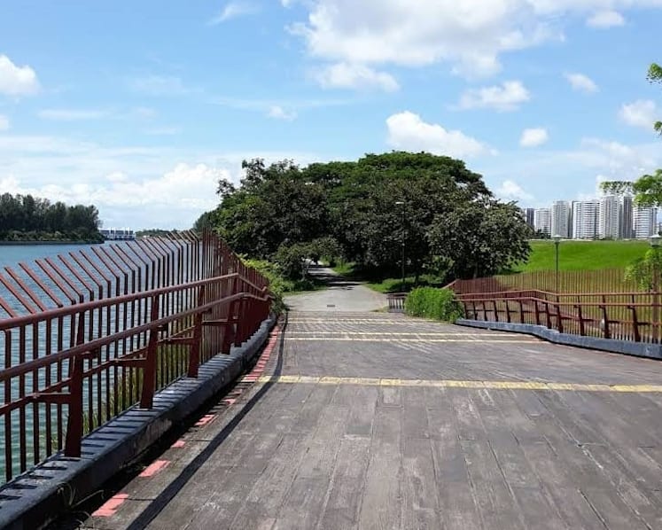 Area along Punggol Promenade Nature Walk cordoned off after cyclist injured in wild boar incident