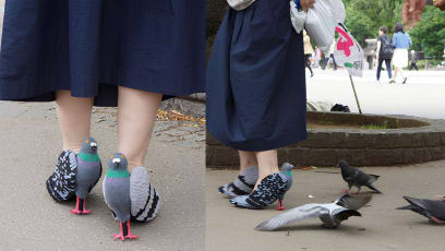 Japanese Designer Creates “Pigeon Heels” That Look Like The Real Thing — So She Could Be “Popular Among Pigeons”
