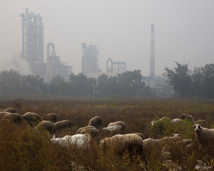 Cement carbon dioxide emissions quietly double in 20 years