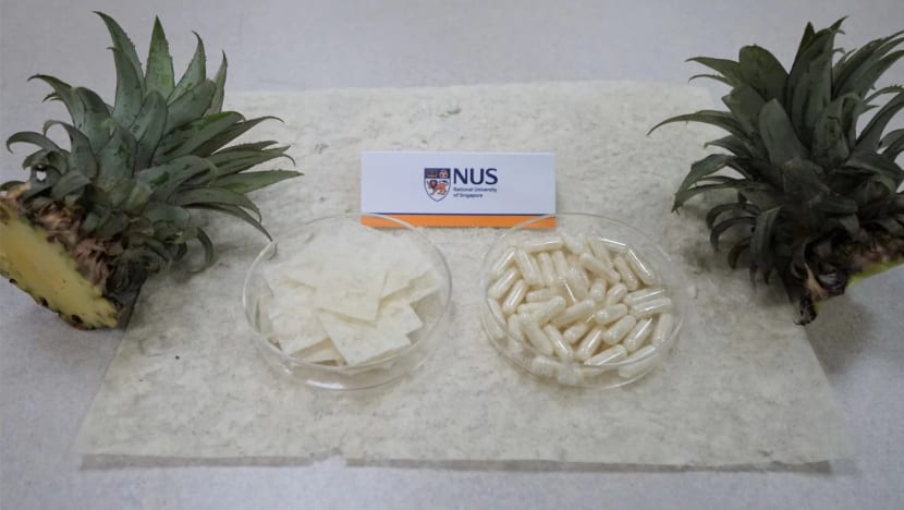 NUS researchers upcycle pineapple leaves into low-cost fat trappers NUS researchers upcycle pineapple leaves into low-cost fat trappers