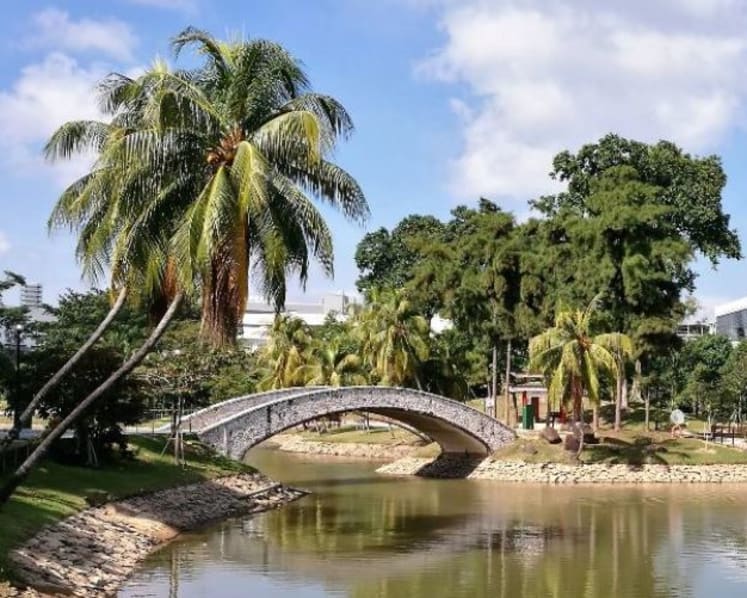 Marsiling Park opens with new mangrove habitat, enhanced amenities for residents