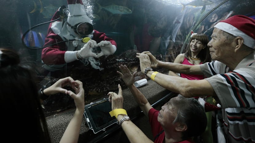 Underwater World closure plan draws flak from animal lovers