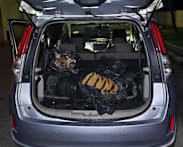 Tiger carcass in car boot sparks outrage in Malaysia