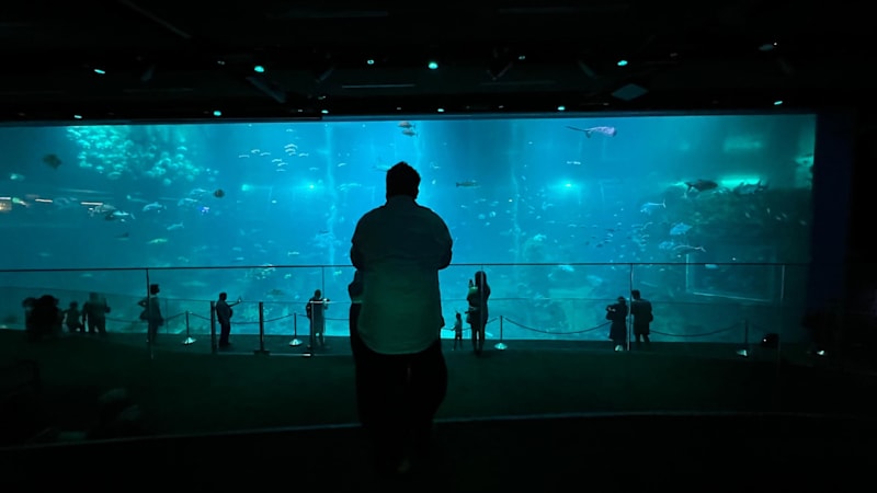 Explore the revamped Singapore Oceanarium