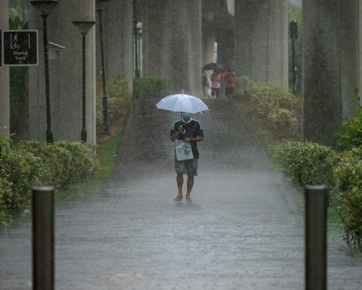 More wet weather for rest of October with monthly rainfall set to be 'well above average': Met Service