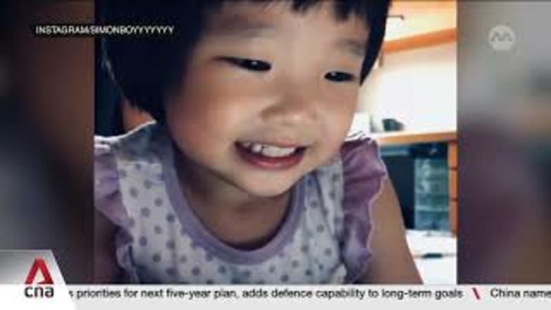 Review panel highlights gaps in how agencies handled Megan Khung abuse case 
