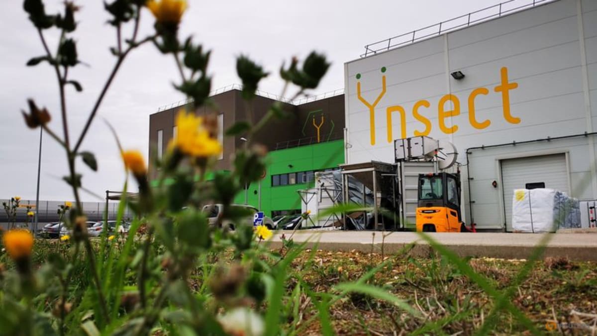 French tech start-up bankruptcies are increasing, survey finds