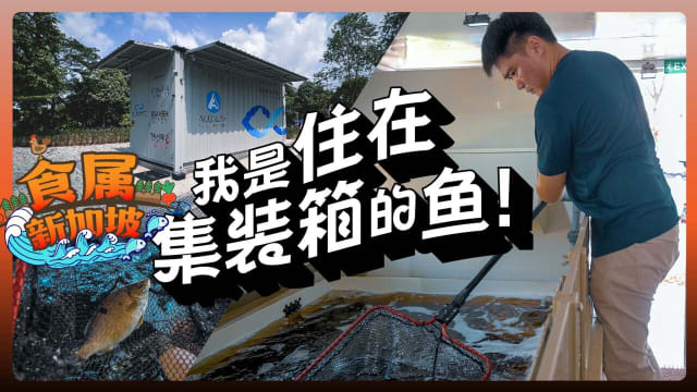 【食属新加坡】我是住在集装箱的鱼！