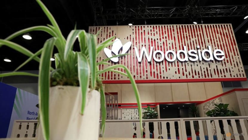 Woodside and Tokyo Gas in discussions over stake in US LNG project