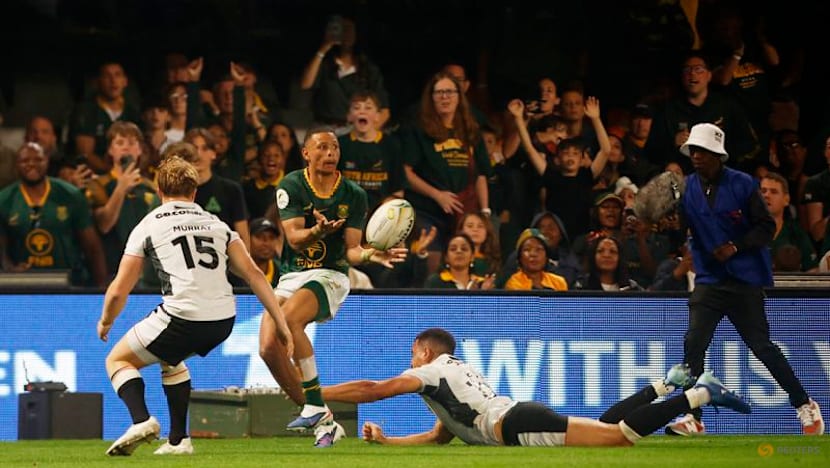 Sloppy Springboks secure 43-0 win over Wales in Nations Championship