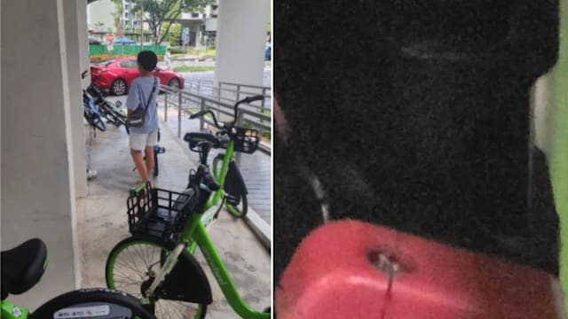 是企图偷窃还是玩耍？男孩与男子网上互怼各执一词
