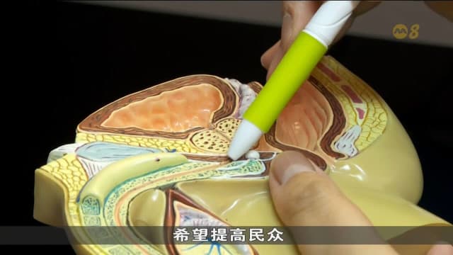 非营利组织将办公共论坛 冀提高男性前列腺健康意识