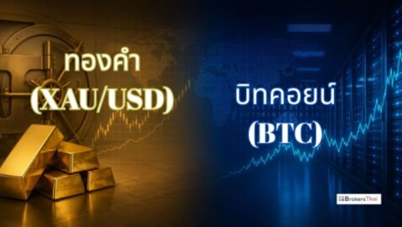 BrokersThai Data: Local Traders Compare Gold and Crypto Side by Side as Markets Shift
