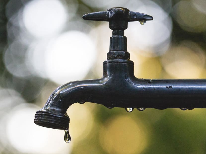 The PUB study found 66 per cent of households use running water to wash toilets instead of a pail or container of water.