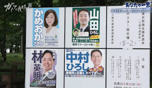 Japan Hour - Gaia Series 104: Your Vote