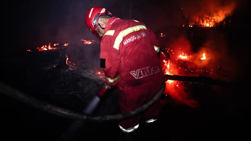 JEREBU RENTAS SEMPADAN: Indonesia akan teliti tawaran bantuan asing; sasar padam kebakaran hutan dalam 1 bulan
