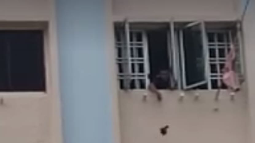 Man who suspended bird from flat gets AVA warning