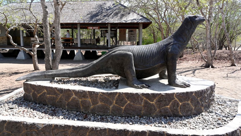 Pencarian  pelancong China  yang hilang di  Taman Nasional Komodo diteruskan