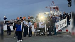 Related article image