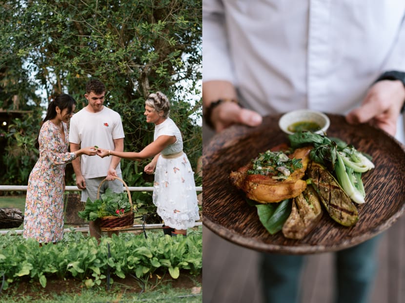 Little Bukit Farm: How the pandemic spurred this couple to realise their dream of starting a farm in Phuket Little Bukit Farm: How the pandemic spurred this couple to realise their dream of starting a farm in Phuket