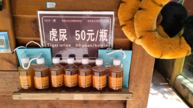 四川动物园被爆售卖“虎尿”引热议  政府介入后已停售