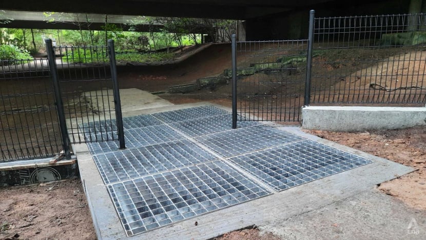More fences, cattle grids to exclude boars from Bukit Panjang residential areas in wake of two attacks More fences, cattle grids to exclude boars from Bukit Panjang residential areas in wake of two attacks