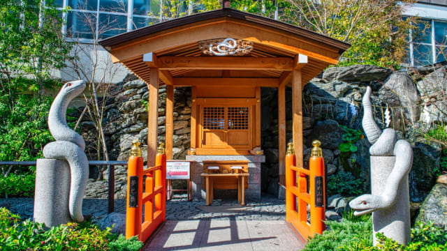 蛇神降临！发财就靠这8大日本神社
