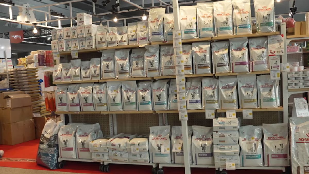 Thailand’s pet food exports surge, but rising competition and global risks may slow growth