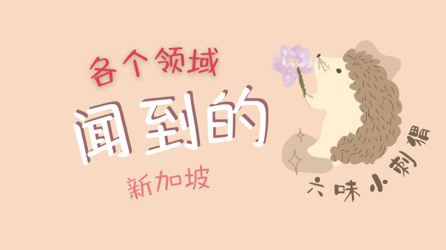 【六味小刺猬】第一集：不同领域对于新加坡的气味印象