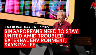 Singaporeans need to stay united amidst troubled global environment, says PM Lee