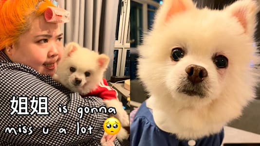Xixi Lim Mourns The Passing Of Her Dog, The Third Time She's Lost A Pet: "It Hurts Even More Each Time"
