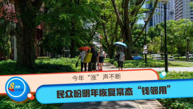 【年度新闻投选】今年“涨”声不断 民众盼明年恢复常态“钱够用”