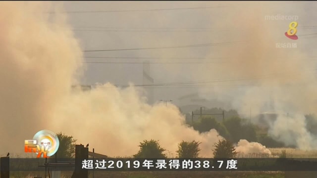 英国受热浪侵袭 气温首次超过摄氏40度