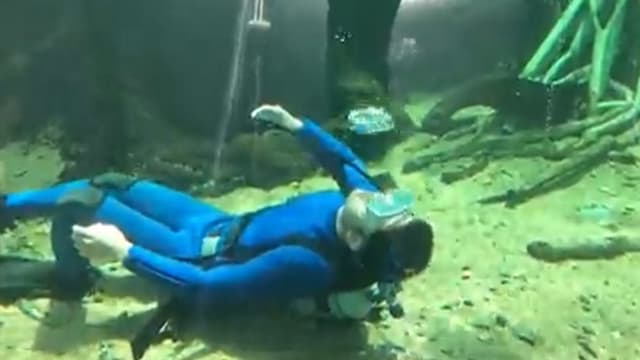 海族馆想怪招揽客　饲养员模仿鲸鱼吐泡泡意外爆红！