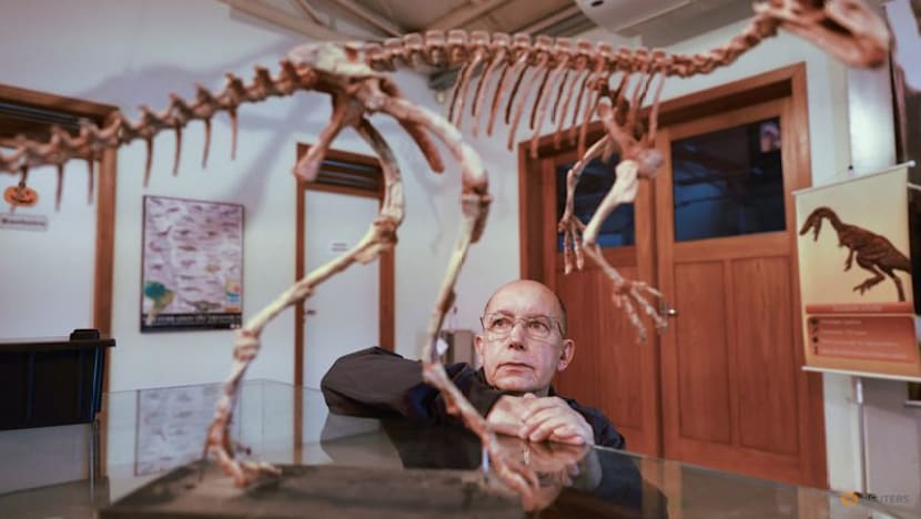 Brazilian physician hails love of paleontology that led to major ancient reptile discovery