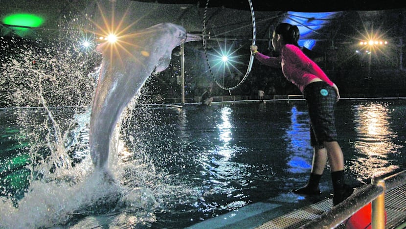 Underwater World closure plan draws flak from animal lovers