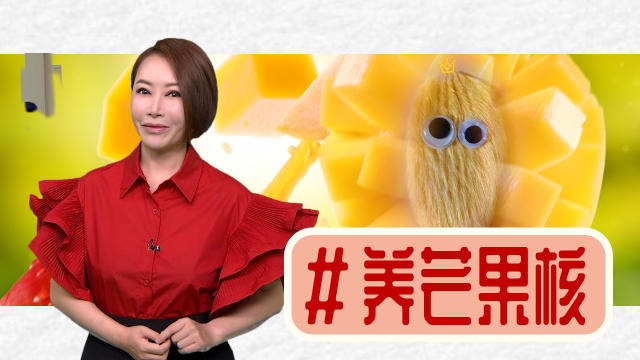 【多懂一点】芒果核成了最新毛小孩