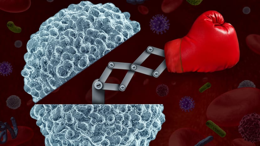 Explainer: How the human body fights infection and how you can boost your immunity