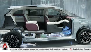 Chinese EV makers seeking global growth as demand at home slows