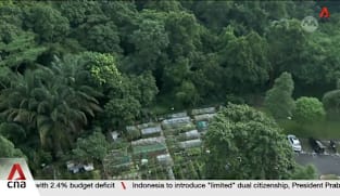 More greenery to be retained at Maju Forest, Gillman Barracks following public feedback